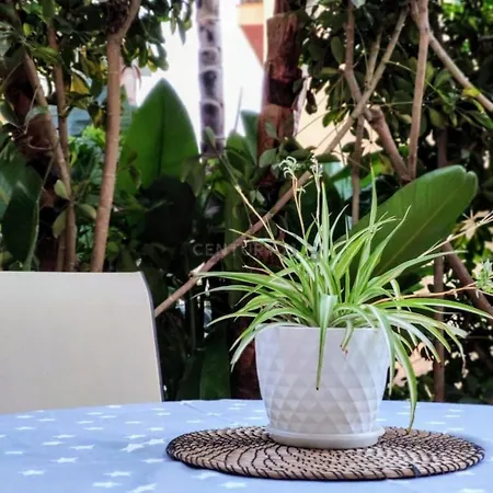Appartement 200 Mts Del Mar