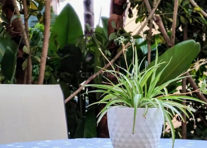 Apartment 200 Mts Del Mar